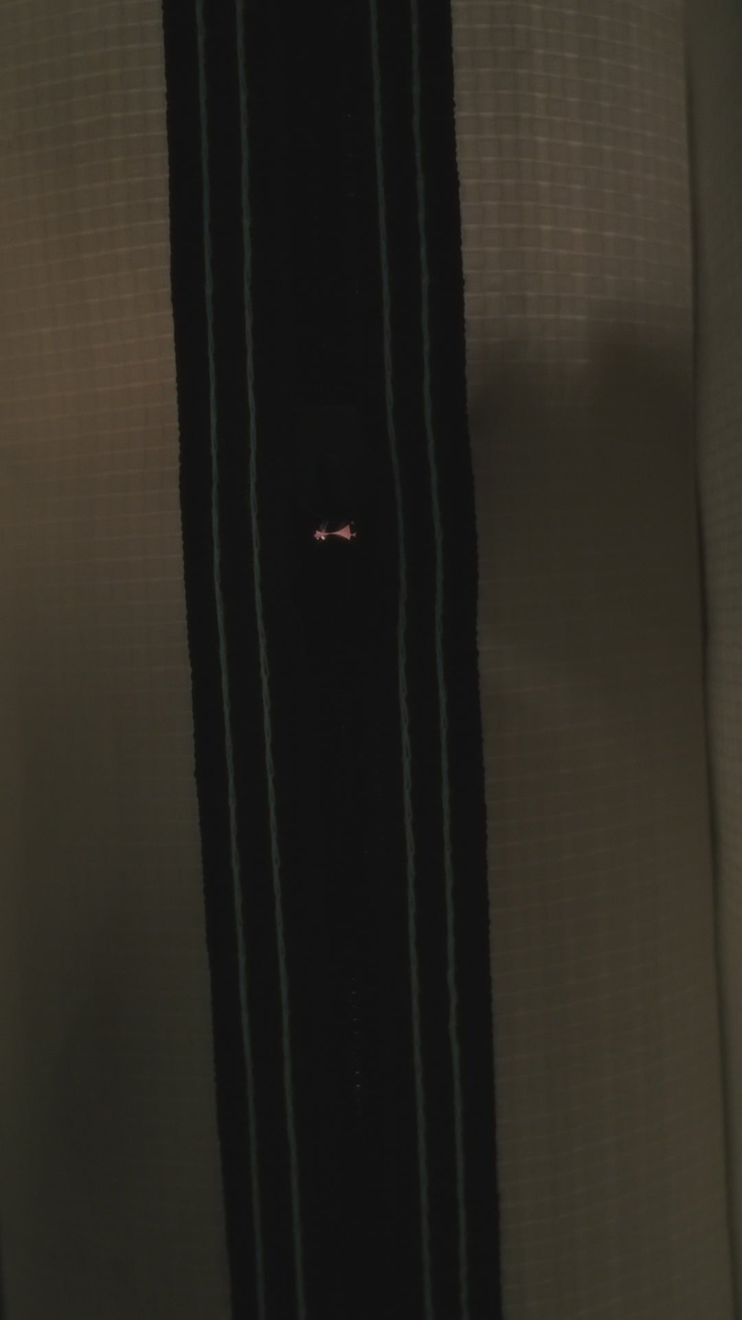 Starter Kit Complet VelaCella